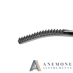 Aufricht Nasal Rasp 21cm Down Cutting