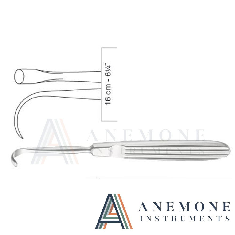 Daniel Gubisch Raspatory, 16.5cm – Strong Curved