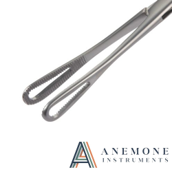 Rampley Sponge Forcep